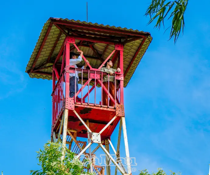 Nỗ lực giữ rừng mùa khô