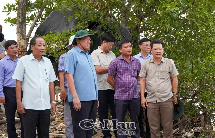 Khẩn trương triển khai giải pháp ứng phó sạt lở