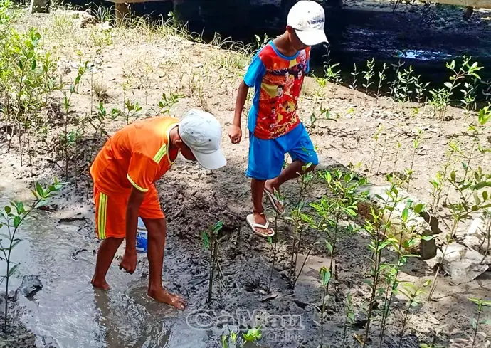 Ngành y tế khuyến cáo phòng bệnh Whitmore