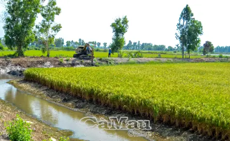 Sản xuất thuận thiên