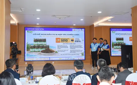Khơi nguồn sáng tạo, chắp cánh khởi nghiệp trẻ