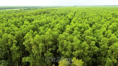 Phê duyệt quy hoạch Khu du lịch sinh thái Vườn Quốc gia U Minh Hạ