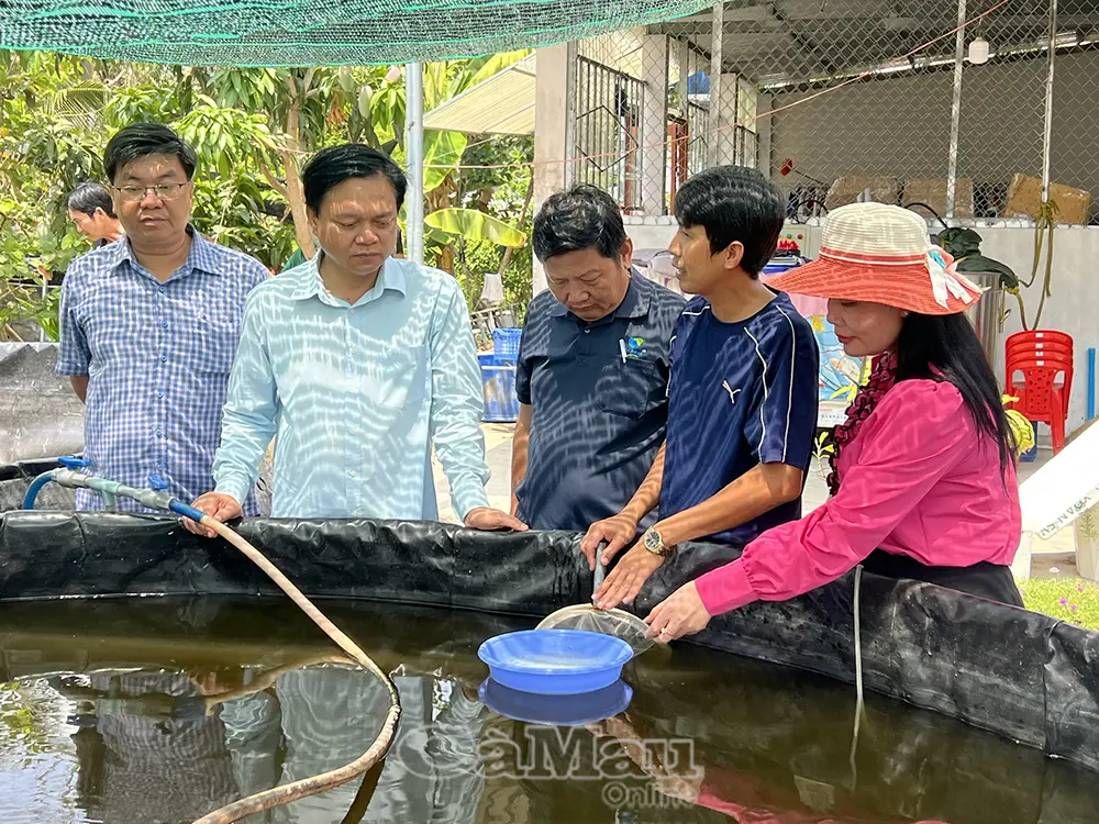 Thường xuyên kiểm tra, tăng sức đề kháng cho tôm nuôi mùa nắng nóng