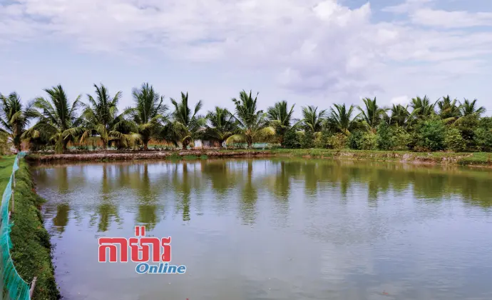 បង្កើនប្រាក់ចំណូល និងប្រសិទ្ធភាពនៃការរក្សាផ្ទៃដីតាមរយៈដើមដូង