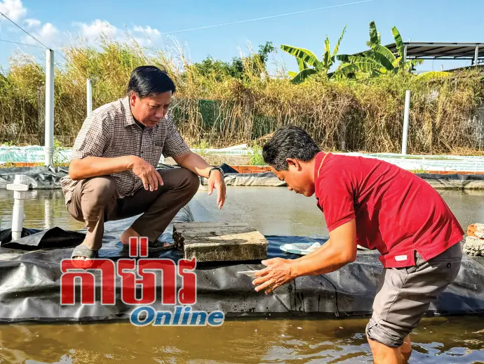 ទិសដៅថ្មីសម្រាប់សេដ្ឋកិច្ចគ្រួសារកសិករ