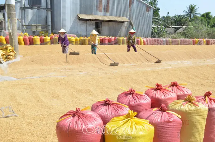 Mưu sinh giữa cái nóng đầu hè