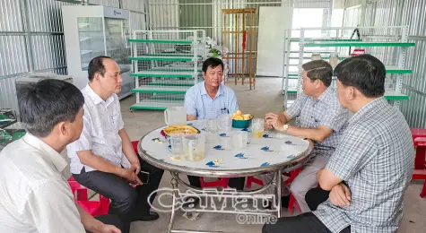 Khảo sát mô hình bồn bồn – cá đồng hiệu quả tại Khánh An
