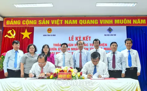 Liên kết chiến lược, toàn diện