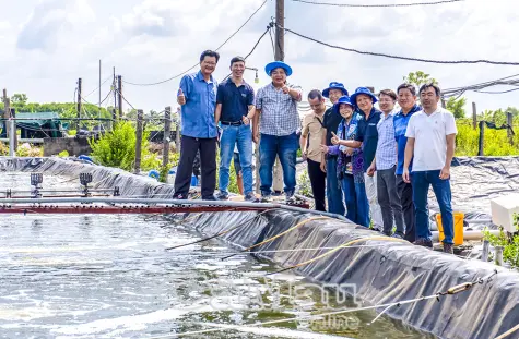Người “mở lối” nuôi tôm công nghệ tuần hoàn RAS 