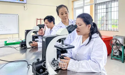 Tái cấu trúc đào tạo nghề