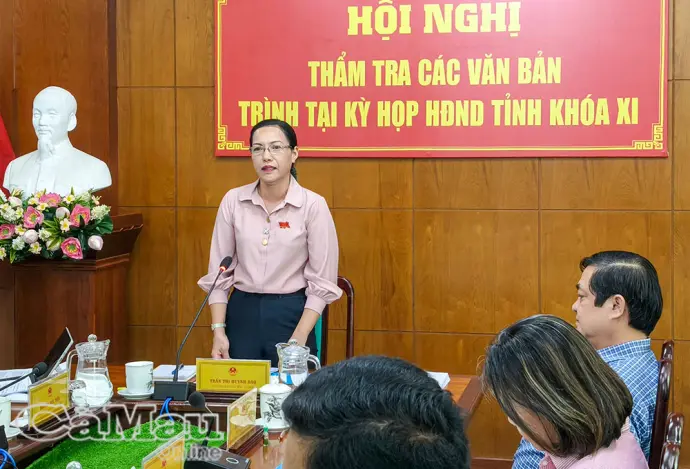 Rà soát, hoàn thiện các nghị quyết trình Kỳ họp HĐND tỉnh