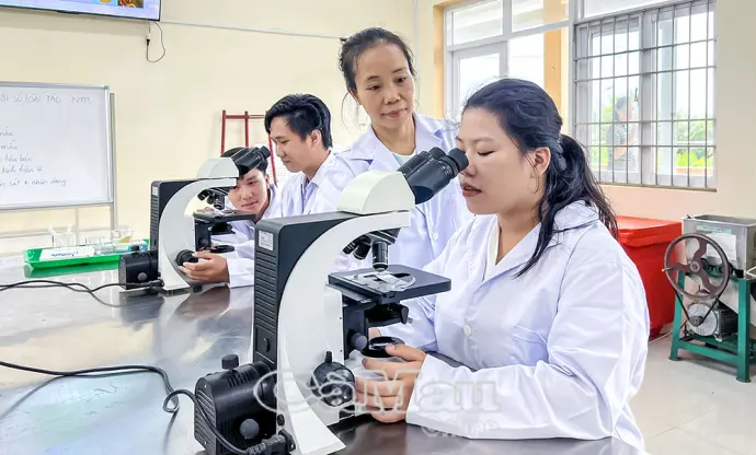 Tái cấu trúc đào tạo nghề