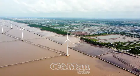 Chủ động 3 kịch bản ứng phó mưa lớn, nước dâng tại Cà Mau