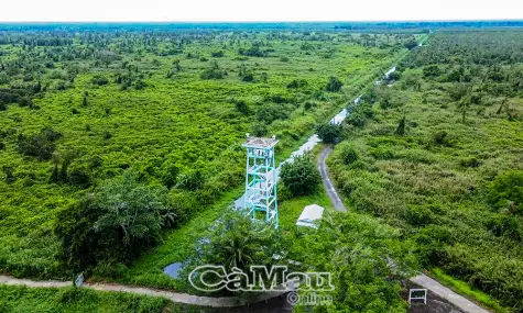 Sẵn sàng cho Sự kiện “Hương rừng U Minh” năm 2026