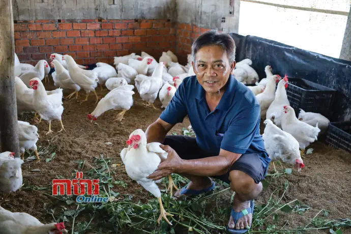 លំនឹងសេដ្ឋកិច្ចអាស្រ័យទម្រង់ចិញ្ចឹមមាន់