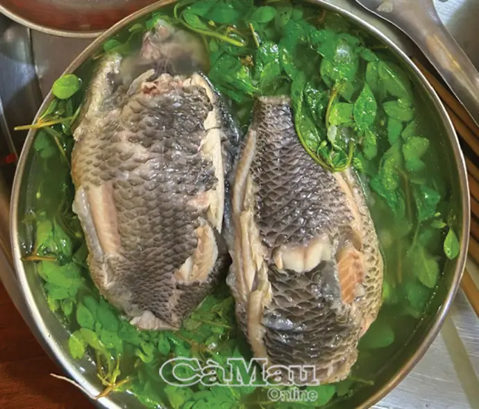 Vị ngọt rau đắng đất