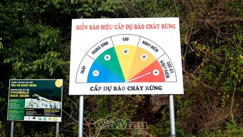 Cảnh báo nguy cơ cháy rừng trên địa bàn tỉnh Cà Mau