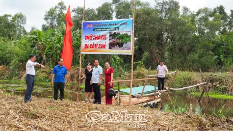 Rà soát, hoàn thiện các phần việc cho “Hương rừng U Minh 2026”