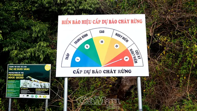 Cảnh báo nguy cơ cháy rừng trên địa bàn tỉnh Cà Mau