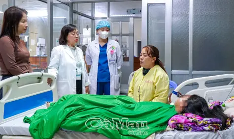 Cấp cứu thành công bệnh nhi bị ong vò vẽ đốt hơn 70 vết
