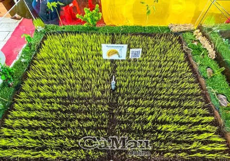 Hiện thực hoá khát vọng tăng trưởng xanh