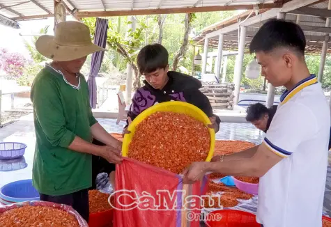 Tìm hướng phát triển từ tiềm năng khác biệt