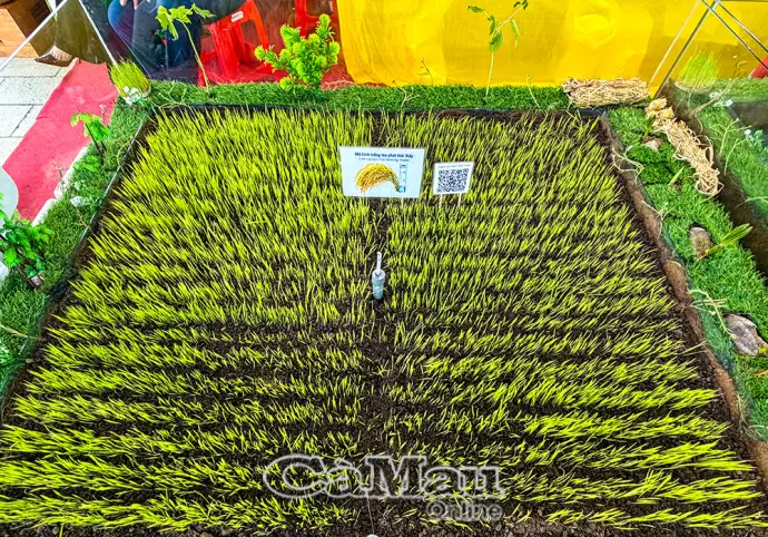 Hiện thực hoá khát vọng tăng trưởng xanh