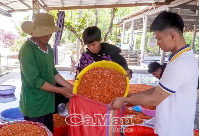 Tìm hướng phát triển từ tiềm năng khác biệt
