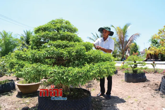 “ទីបង្អែក” ជួយជនរួមជាតិរួចចាកក្រ