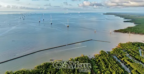Ðiểm đến của nhà đầu tư xanh