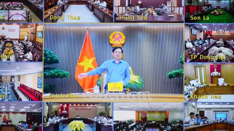 Xử lý nghiêm tình trạng mua bán mã số vùng trồng để bảo vệ uy tín nông sản