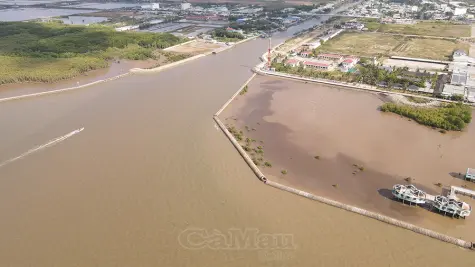 Cà Mau khát vọng “biển xanh dựng cơ đồ”