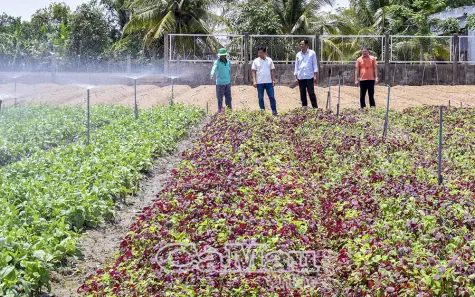 Phát triển đảng viên từ các phong trào thi đua