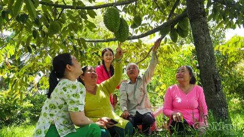 Người giữ đất rừng U Minh