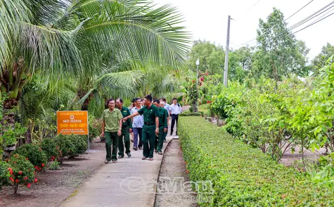 Xây dựng nông thôn mới: “Đúng ý Ðảng, được lòng dân”