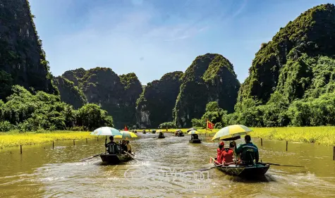 Sắc vàng Tam Cốc