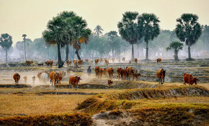 Ðiểm tựa đời thường