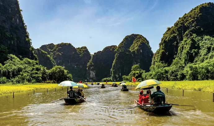 Sắc vàng Tam Cốc