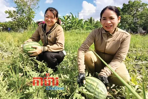 រួមដំណើរការជាមួយកសិករ