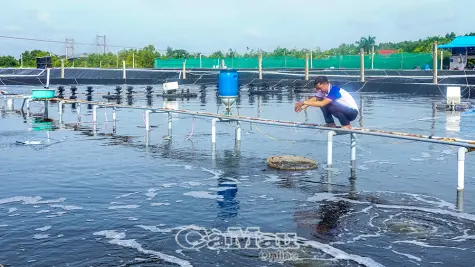 Thi đua phát triển, tạo đà tăng trưởng