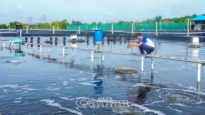 Thi đua phát triển, tạo đà tăng trưởng