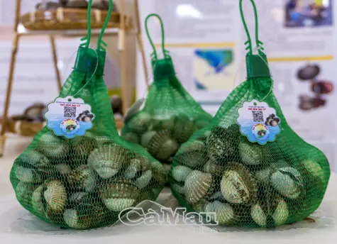 Khẳng định thương hiệu sò huyết Cà Mau
