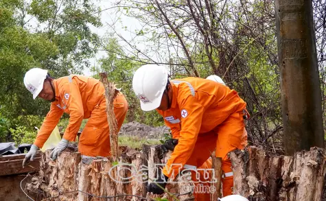 Nhiều giải pháp bảo vệ lưới điện