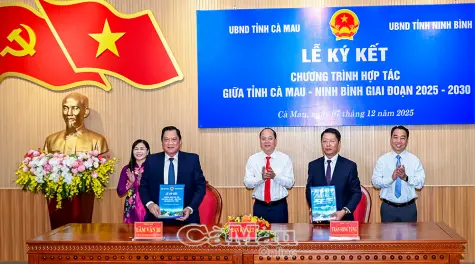 Hợp tác để cùng phát triển