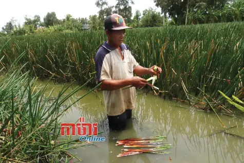 គោលនយោបាយជនជាតិស៊ីជម្រៅក្នុងជីវភាព