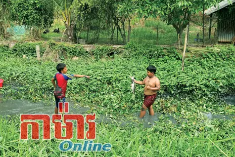 រដូវវិស្សមកាលដ៏ស្ងប់ស្ងាត់