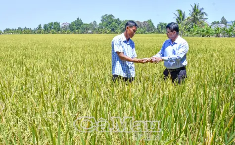 Sức mạnh lòng dân