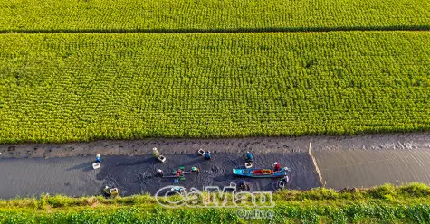 Thới Bình - Hành trình phát triển
