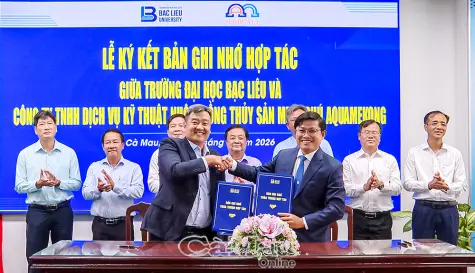 Hạt nhân kết nối sáng tạo