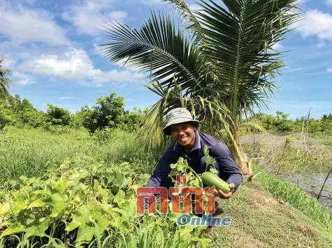 ប្រសិទ្ធភាពនៃការងារជនជាតិបន្ទាប់ពីការរួមបញ្ចូលគ្នា